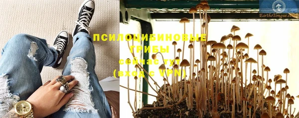 экстази Мегион