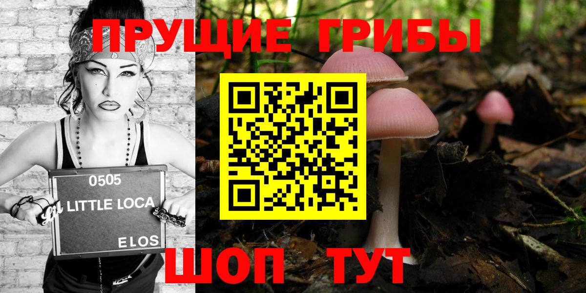 Галлюциногенные грибы Psilocybine cubensis Находка